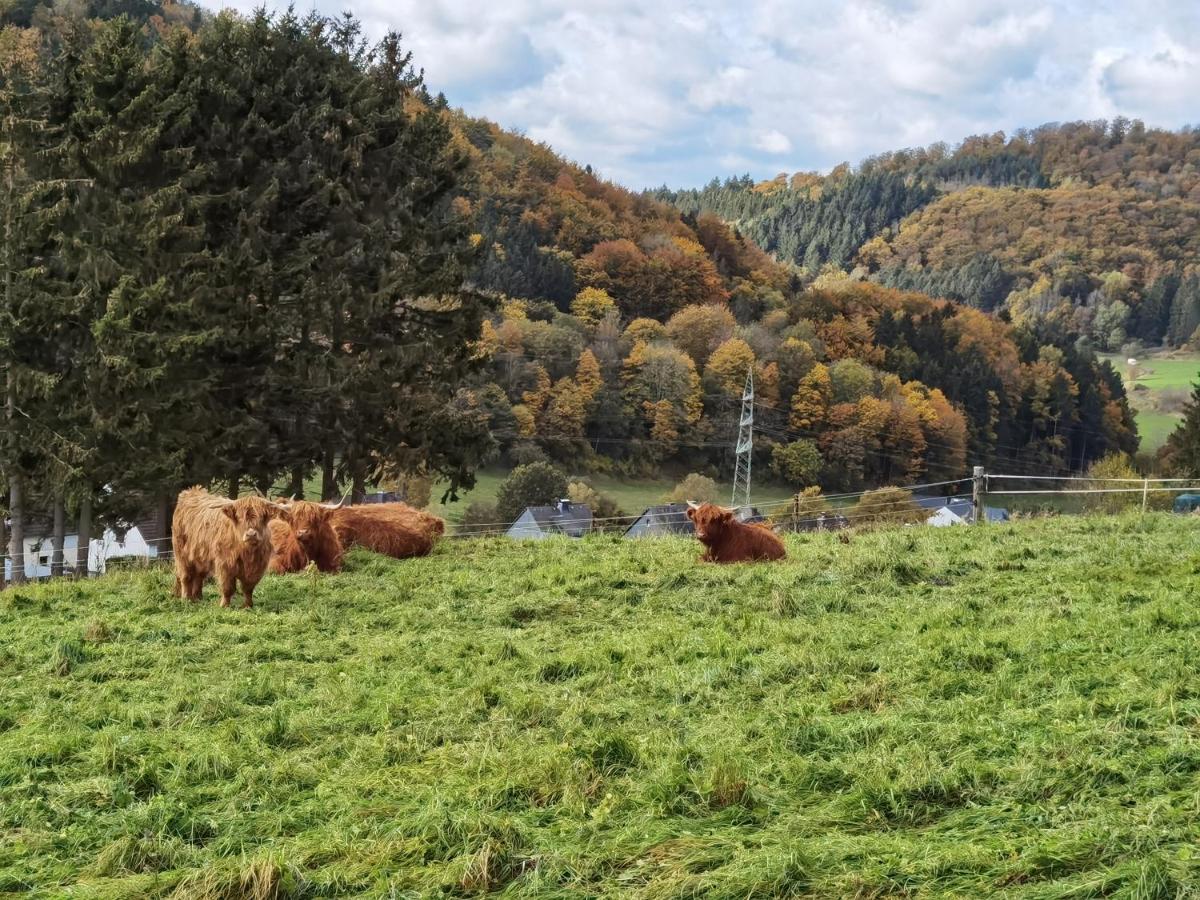 Ferienhaus Waldblick Hohenfels-Essingen Εξωτερικό φωτογραφία