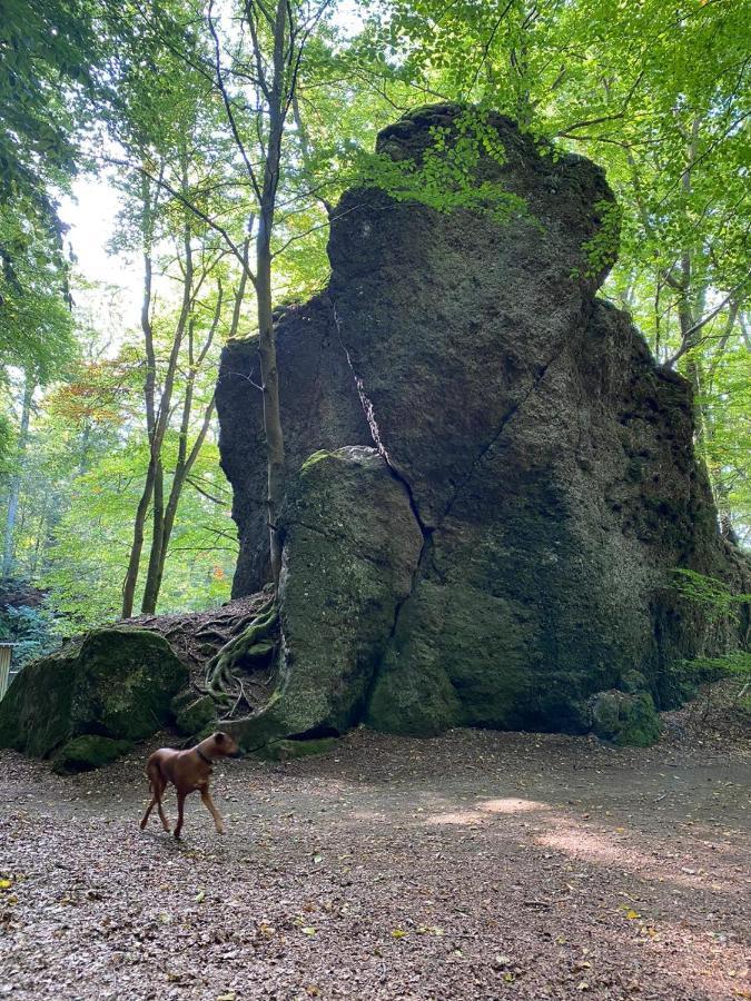 Ferienhaus Waldblick Hohenfels-Essingen Εξωτερικό φωτογραφία